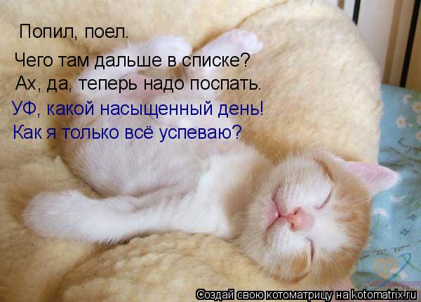 Попил, поел. Чего там дальше в списке? Ах, да, теперь надо поспать. УФ, какой насыщенный день! Как я ... Котоматрица: Попил, поел. Чего там дальше в списке? Ах, да, теперь надо поспать. УФ, какой насыщенный день! Как я только всё успеваю?