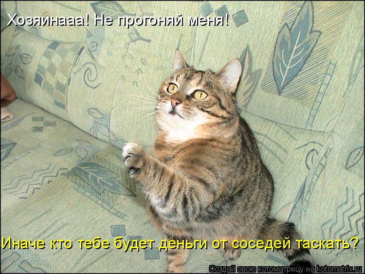 Хозяинааа! Не прогоняй меня! Иначе кто тебе будет деньги от соседей таскать?... Котоматрица: Хозяинааа! Не прогоняй меня! Иначе кто тебе будет деньги от соседей таскать?
