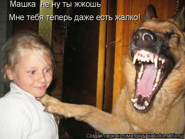 Машка не ну ты жжошь Мне тебя теперь даже есть жалко!... Котоматрица: Машка не ну ты жжошь Мне тебя теперь даже есть жалко!