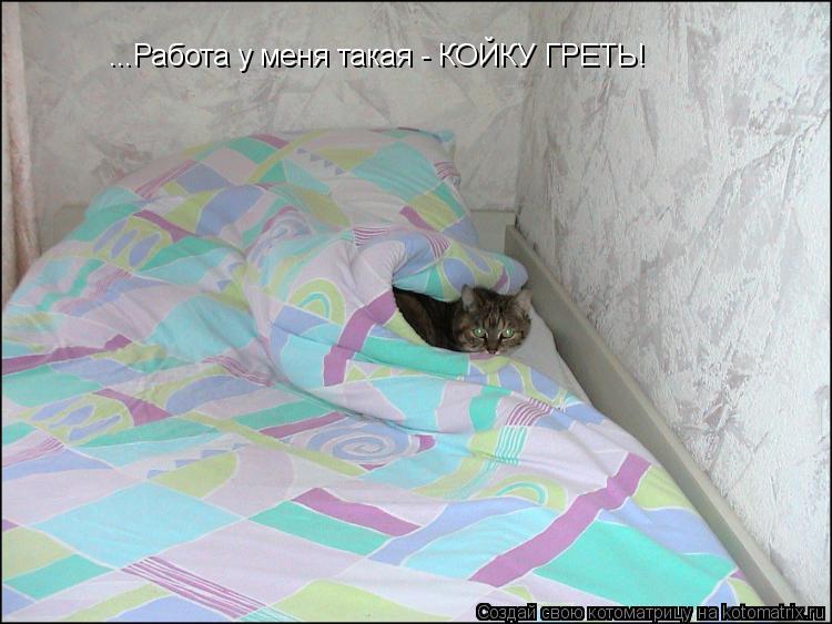 ...Работа у меня такая - КОЙКУ ГРЕТЬ!... Котоматрица: ...Работа у меня такая - КОЙКУ ГРЕТЬ!