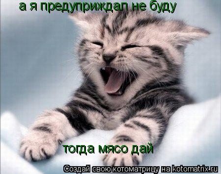 а я предуприждал не буду тогда мясо дай... Котоматрица: а я предуприждал не буду тогда мясо дай