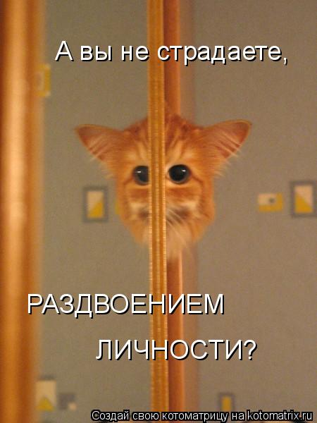 А вы не страдаете, РАЗДВОЕНИЕМ ЛИЧНОСТИ?... Котоматрица: А вы не страдаете, РАЗДВОЕНИЕМ ЛИЧНОСТИ?