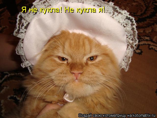 Я не кукла! Не кукла я!... Котоматрица: Я не кукла! Не кукла я!