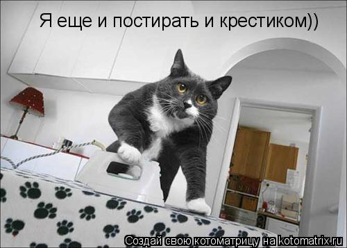 Я еще и постирать и крестиком))... Котоматрица: Я еще и постирать и крестиком))