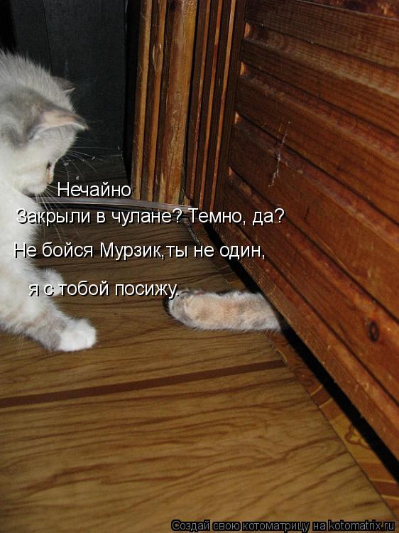 Закрыли в чулане? Темно, да? Не бойся Мурзик,ты не один, я с тобой посижу. Нечайно... Котоматрица: Закрыли в чулане? Темно, да? Не бойся Мурзик,ты не один, я с тобой посижу. Нечайно