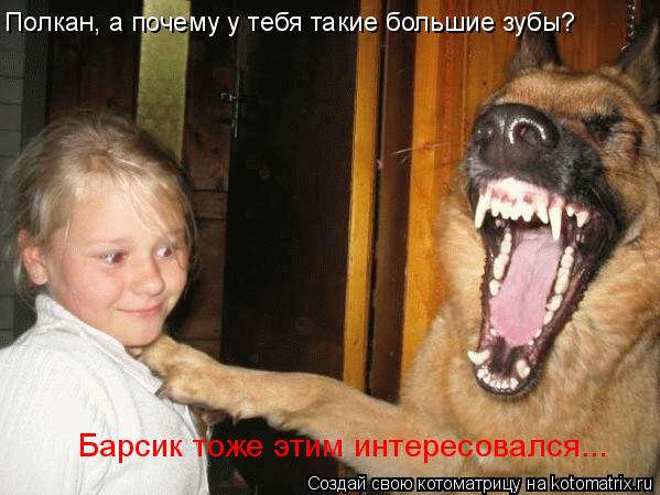 Полкан, а почему у тебя такие большие зубы? Барсик тоже этим интересовался...... Котоматрица: Полкан, а почему у тебя такие большие зубы? Барсик тоже этим интересовался...