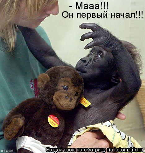 - Мааа!!! Он первый начал!!!... Котоматрица: - Мааа!!! Он первый начал!!!