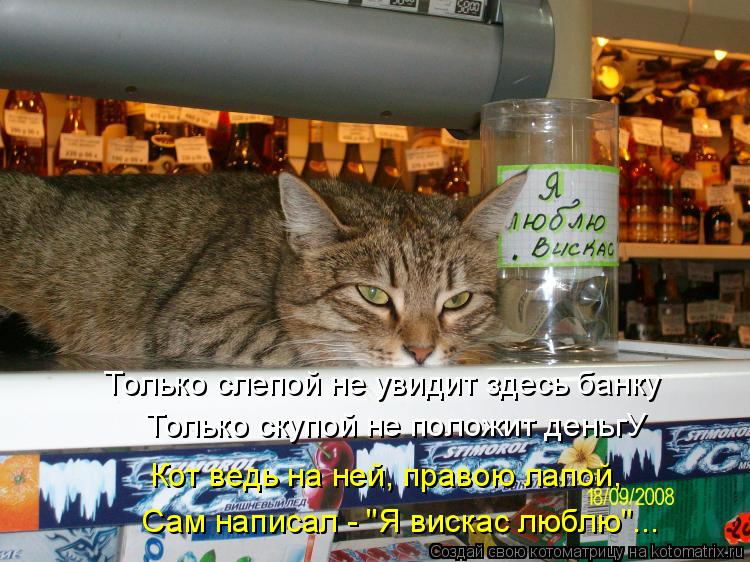 Только слепой не увидит здесь банку Только скупой не положит деньгУ Сам написал - "Я вискас люблю"... Котоматрица: Только слепой не увидит здесь банку Только скупой не положит деньгУ Сам написал - "Я вискас люблю"... Кот ведь на ней, правою лапой,