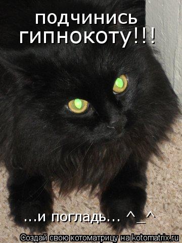 подчинись гипнокоту!!! ...и погладь... ^_^... Котоматрица: подчинись гипнокоту!!! ...и погладь... ^_^