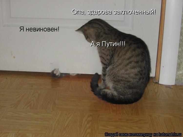 Опа, здарова заключенный! Я невиновен! А я Путин!!!... Котоматрица: Опа, здарова заключенный! Я невиновен! А я Путин!!!