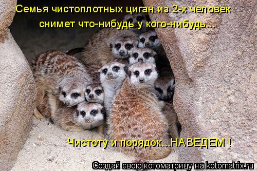 Семья чистоплотных циган из 2-х человек снимет что-нибудь у кого-нибудь... Чистоту и порядок...НАВЕДЕ... Котоматрица: Семья чистоплотных циган из 2-х человек снимет что-нибудь у кого-нибудь... Чистоту и порядок...НАВЕДЕМ !