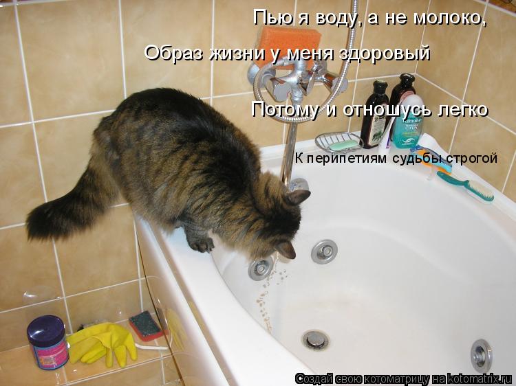 Пью я воду, а не молоко, Образ жизни у меня здоровый Потому и отношусь легко К перипетиям судьбы ст... Котоматрица: Пью я воду, а не молоко, Образ жизни у меня здоровый Потому и отношусь легко К перипетиям судьбы строгой