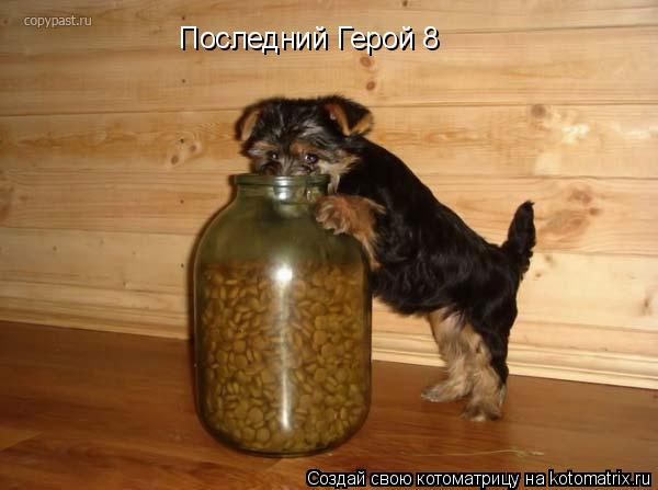 Последний Герой 8... Котоматрица: Последний Герой 8