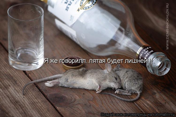 Я же говорилл..пятая будет лишней!!!... Котоматрица: Я же говорилл..пятая будет лишней!!!