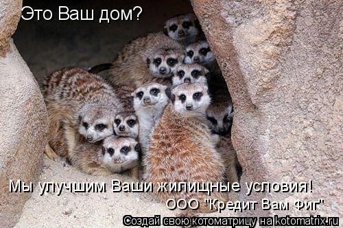 Это Ваш дом? Мы улучшим Ваши жилищные условия! ООО "Кредит Вам Фиг"... Котоматрица: Это Ваш дом? Мы улучшим Ваши жилищные условия! ООО "Кредит Вам Фиг"
