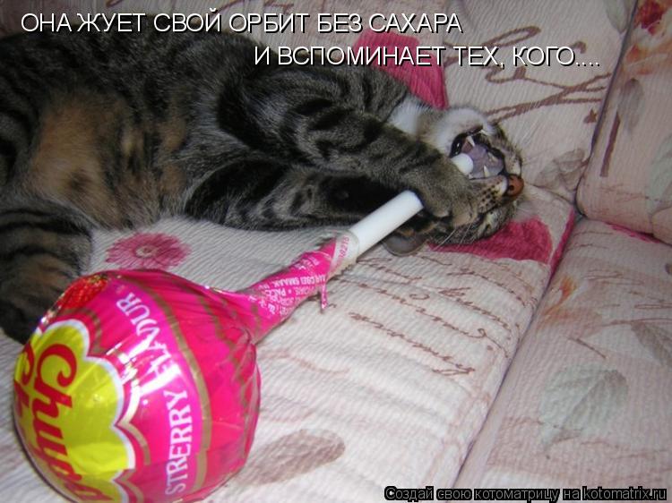 ОНА ЖУЕТ СВОЙ ОРБИТ БЕЗ САХАРА И ВСПОМИНАЕТ ТЕХ, КОГО....... Котоматрица: ОНА ЖУЕТ СВОЙ ОРБИТ БЕЗ САХАРА И ВСПОМИНАЕТ ТЕХ, КОГО....