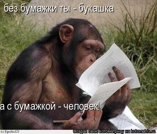 без бумажки ты - букашка а с бумажкой - человек !... Котоматрица: без бумажки ты - букашка а с бумажкой - человек !
