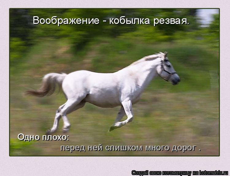 Воображение - кобылка резвая. Одно плохо: перед ней слишком много дорог …... Котоматрица: Воображение - кобылка резвая. Одно плохо: перед ней слишком много дорог …
