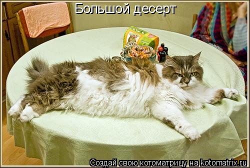 Большой десерт... Котоматрица: Большой десерт