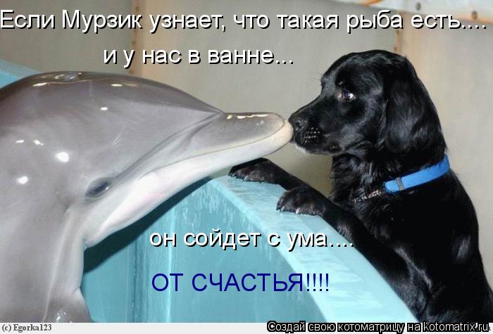 Если Мурзик узнает, что такая рыба есть.... и у нас в ванне... он сойдет с ума.... ОТ СЧАСТЬЯ!!!!... Котоматрица: Если Мурзик узнает, что такая рыба есть.... и у нас в ванне... он сойдет с ума.... ОТ СЧАСТЬЯ!!!!