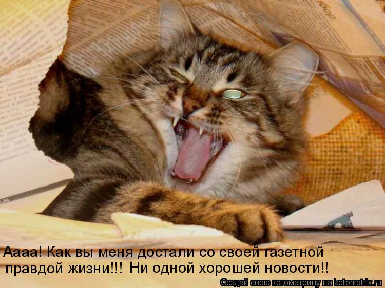 Аааа! Как вы меня достали со своей газетной правдой жизни!!! Ни одной хорошей новости!!... Котоматрица: Аааа! Как вы меня достали со своей газетной правдой жизни!!! Ни одной хорошей новости!!