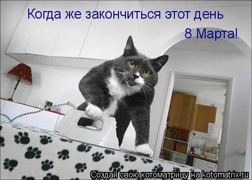 Когда же хакончиться этот день Когда же закончиться этот день 8 Марта!... Котоматрица: Когда же хакончиться этот день Когда же закончиться этот день 8 Марта!