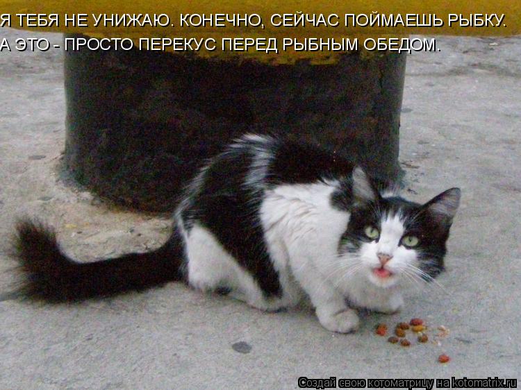 Я ТЕБЯ НЕ УНИЖАЮ. КОНЕЧНО, СЕЙЧАС ПОЙМАЕШЬ РЫБКУ. А ЭТО - ПРОСТО ПЕРЕКУС ПЕРЕД РЫБНЫМ ОБЕДОМ.... Котоматрица: Я ТЕБЯ НЕ УНИЖАЮ. КОНЕЧНО, СЕЙЧАС ПОЙМАЕШЬ РЫБКУ. А ЭТО - ПРОСТО ПЕРЕКУС ПЕРЕД РЫБНЫМ ОБЕДОМ.