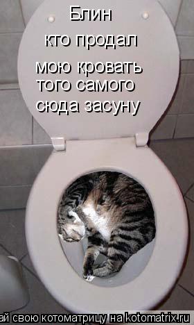 Блин кто продал мою кровать того самого сюда засуну... Котоматрица: Блин кто продал мою кровать того самого сюда засуну
