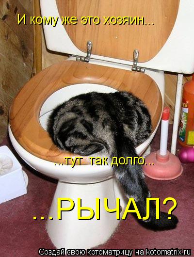 И кому же это хозяин... ...тут так долго... ...РЫЧАЛ?... Котоматрица: И кому же это хозяин... ...тут так долго... ...РЫЧАЛ?