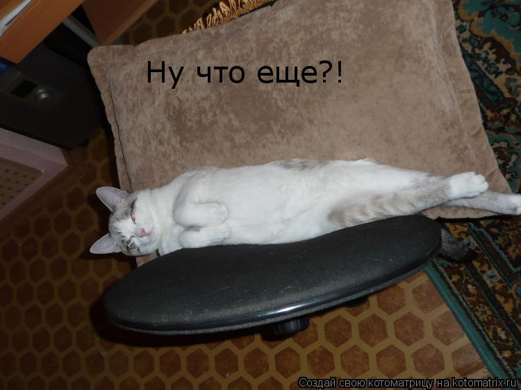 Ну что еще?!... Котоматрица: Ну что еще?!