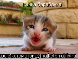 Нанка барабанка... Котоматрица: Нанка барабанка