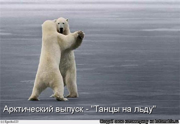 Котоматрица: Арктический выпуск - "Танцы на льду"