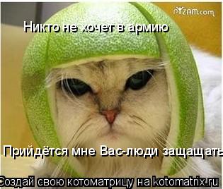 Никто не хочет в армию Прийдётся мне Вас-люди защащать... Котоматрица: Никто не хочет в армию Прийдётся мне Вас-люди защащать