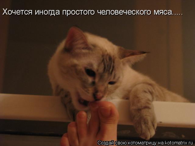 Хочется иногда простого человеческого мяса........ Котоматрица: Хочется иногда простого человеческого мяса.....