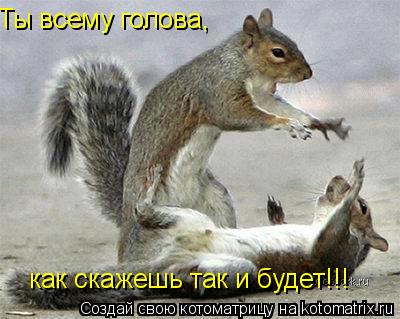 Ты всему голова, как скажешь так и будет!!!... Котоматрица: Ты всему голова, как скажешь так и будет!!!