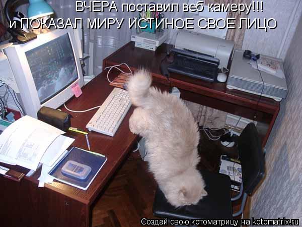 ВЧЕРА поставил веб камеру!!! и ПОКАЗАЛ МИРУ ИСТИНОЕ СВОЕ ЛИЦО... Котоматрица: ВЧЕРА поставил веб камеру!!! и ПОКАЗАЛ МИРУ ИСТИНОЕ СВОЕ ЛИЦО