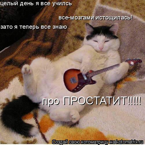 целый день я все училсь все-мозгами истощилась! зато я теперь все знаю про ПРОСТАТИТ!!!!!... Котоматрица: целый день я все училсь все-мозгами истощилась! зато я теперь все знаю про ПРОСТАТИТ!!!!!