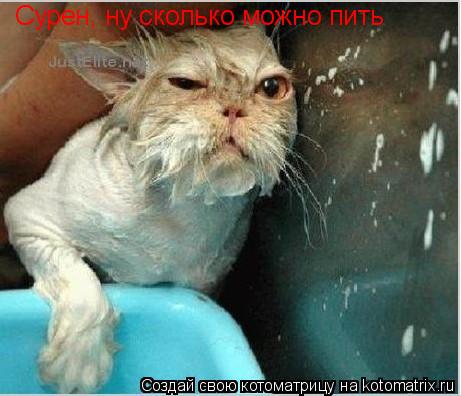 Сурен, ну сколько можно пить... Котоматрица: Сурен, ну сколько можно пить