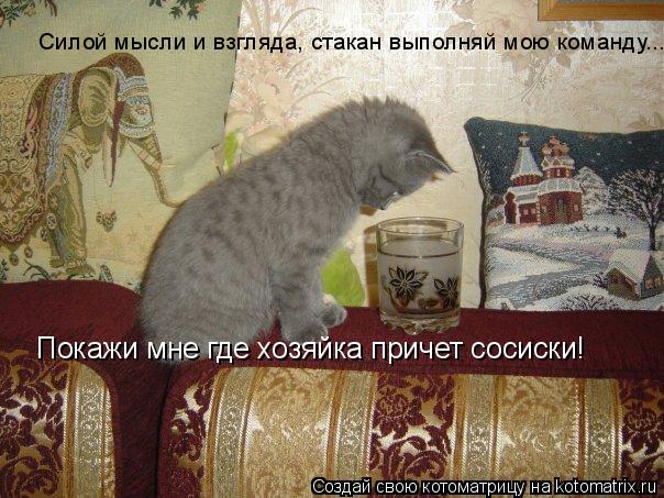 Силой мысли и взгляда, стакан выполняй мою команду... Покажи мне где хозяйка причет сосиски!... Котоматрица: Силой мысли и взгляда, стакан выполняй мою команду... Покажи мне где хозяйка причет сосиски!
