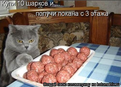 Купи 10 шарков и ... ...получи покана с 3 этажа... Котоматрица: Купи 10 шарков и ... ...получи покана с 3 этажа