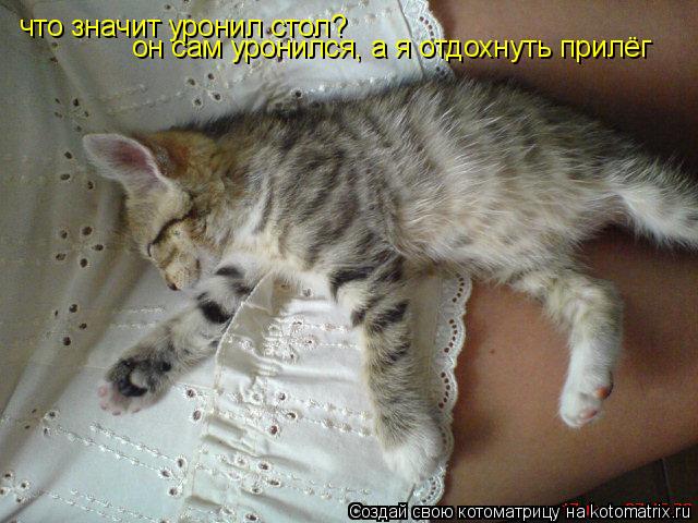 что значит уронил стол? он сам уронился, а я отдохнуть прилёг... Котоматрица: что значит уронил стол? он сам уронился, а я отдохнуть прилёг