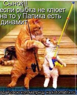 если рыбка не клюет Сынок!! на то у Папика есть динамит... Котоматрица: если рыбка не клюет Сынок!! на то у Папика есть динамит