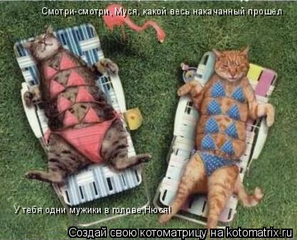 Смотри-смотри, Муся, какой весь накачанный прошёл У тебя одни мужики в голове,Нюся!... Котоматрица: Смотри-смотри, Муся, какой весь накачанный прошёл У тебя одни мужики в голове,Нюся!