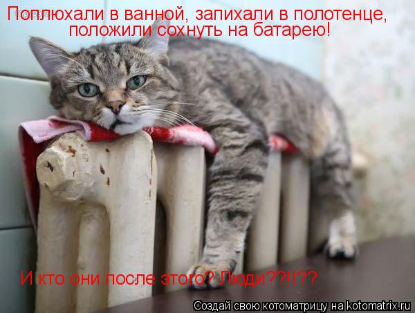 Поплюхали в ванной, запихали в полотенце, положили сохнуть на батарею! И кто они после этого? Люди??!... Котоматрица: Поплюхали в ванной, запихали в полотенце, положили сохнуть на батарею! И кто они после этого? Люди??!!??