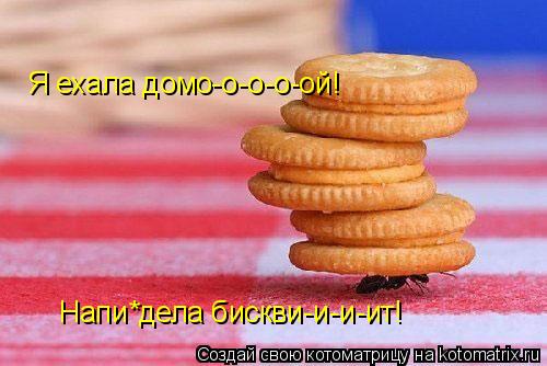 Я ехала домо-о-о-о-ой! Напи*дела бискви-и-и-ит!... Котоматрица: Я ехала домо-о-о-о-ой! Напи*дела бискви-и-и-ит!