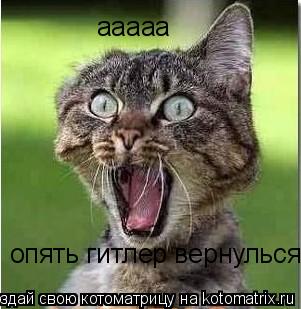 ааааа опять гитлер вернулься... Котоматрица: ааааа опять гитлер вернулься
