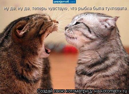 ну да, ну да, теперь чувствую, что рыбка была тухловата...... Котоматрица: ну да, ну да, теперь чувствую, что рыбка была тухловата...