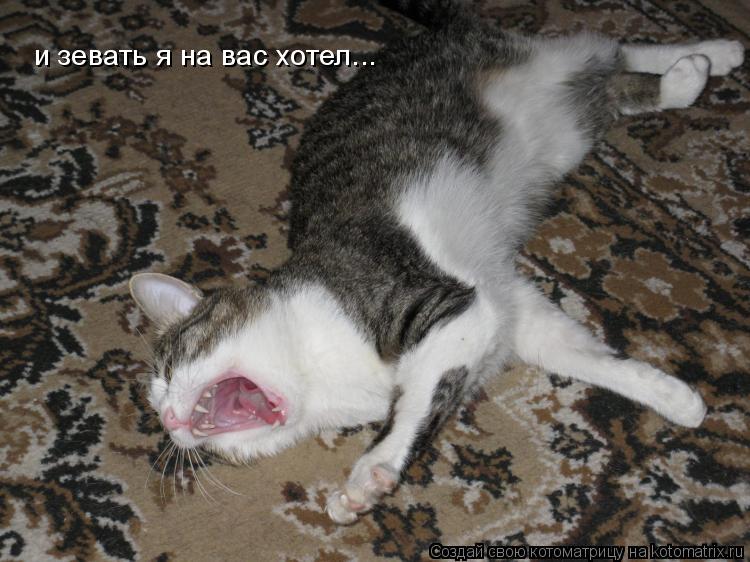 и зевать я на вас хотел...... Котоматрица: и зевать я на вас хотел...