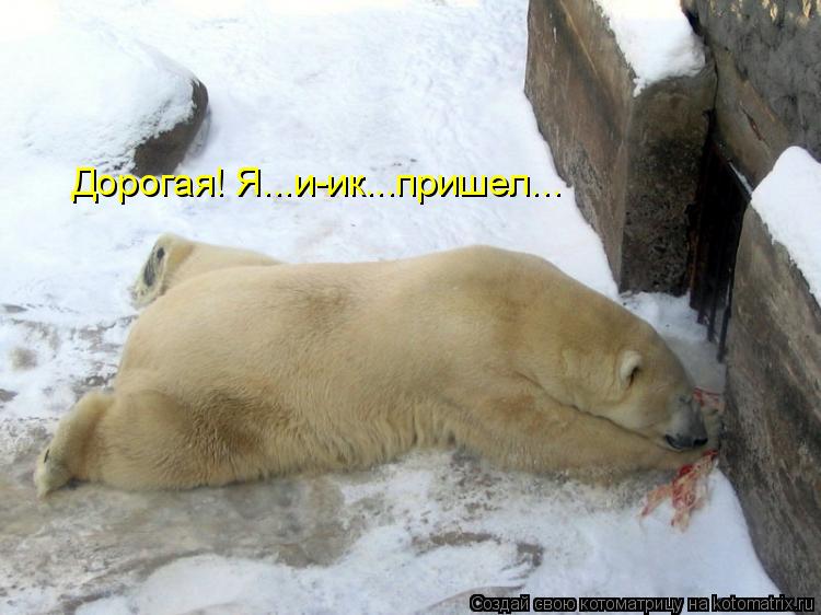 Дорогая! Я...и-ик...пришел...... Котоматрица: Дорогая! Я...и-ик...пришел...