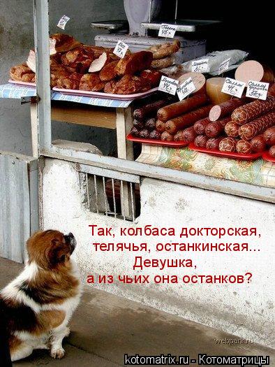 Так, колбаса докторская, телячья, останкинская... Девушка, а из чьих она останков?... Котоматрица: Так, колбаса докторская, телячья, останкинская... Девушка, а из чьих она останков?